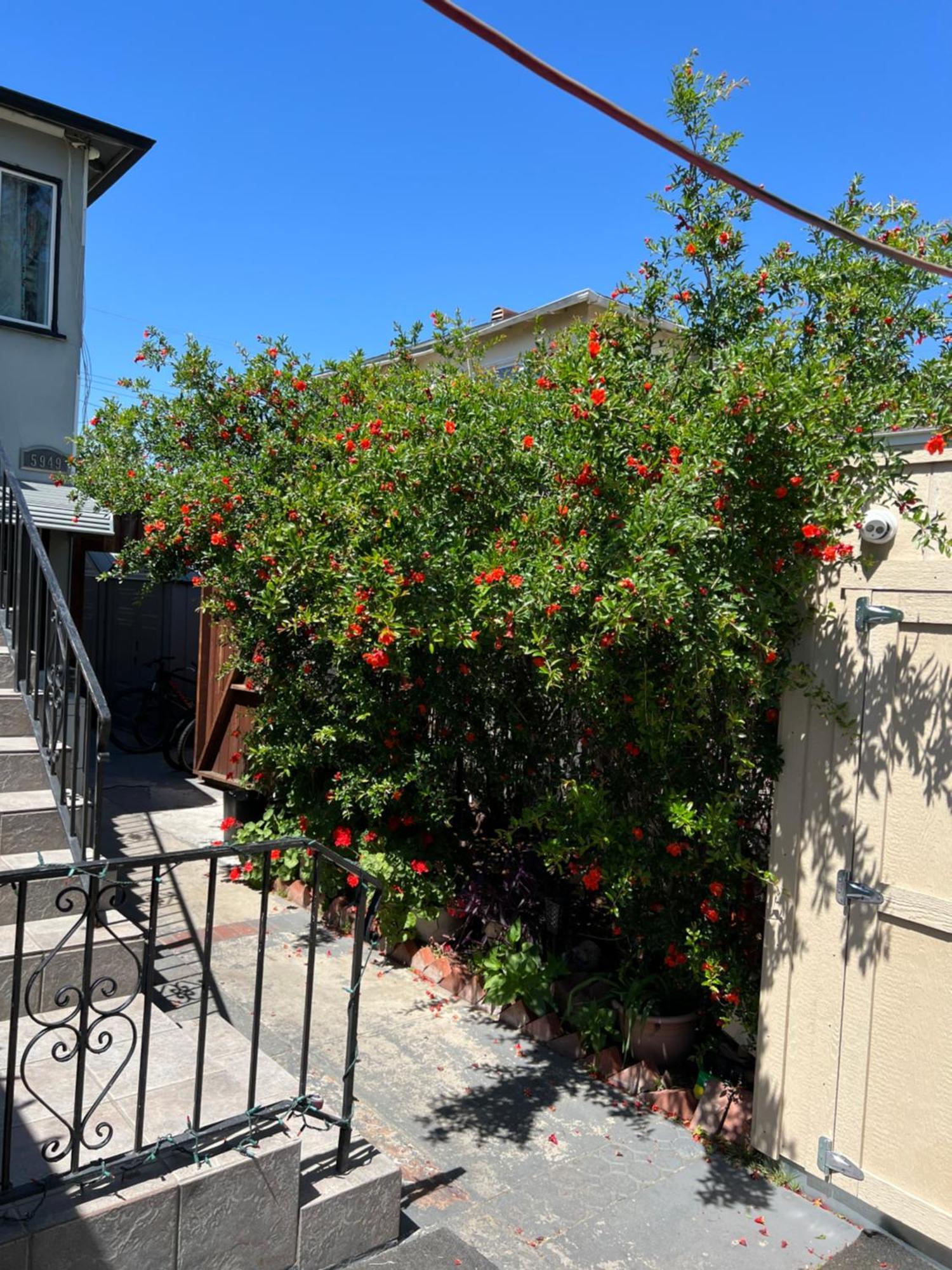 Timen House Hostel - Los Angeles — Photos 2